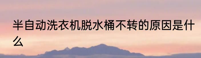 半自动洗衣机脱水桶不转的原因是什么