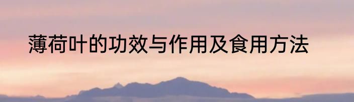 薄荷叶的功效与作用及食用方法
