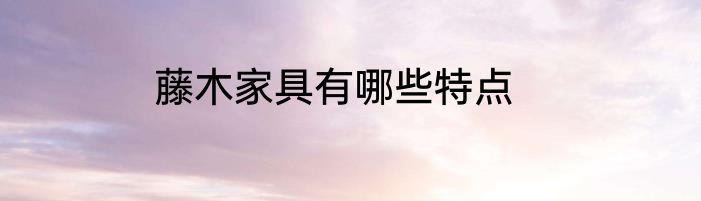 藤木家具有哪些特点