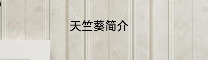 天竺葵简介