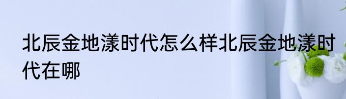 北辰金地漾时代怎么样北辰金地漾时代在哪