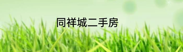同祥城二手房