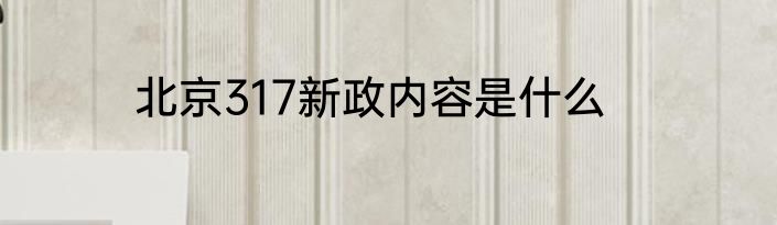 北京317新政内容是什么