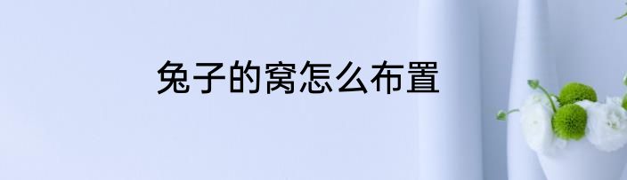兔子的窝怎么布置