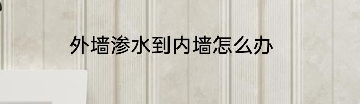 外墙渗水到内墙怎么办