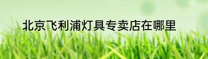 北京飞利浦灯具专卖店在哪里