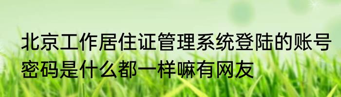 北京工作居住证管理系统登陆的账号密码是什么都一样嘛有网友