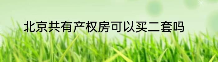 北京共有产权房可以买二套吗