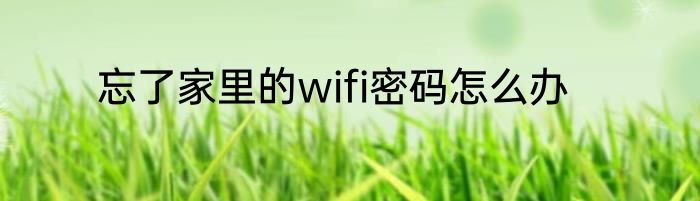 忘了家里的wifi密码怎么办