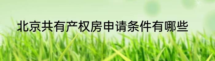 北京共有产权房申请条件有哪些