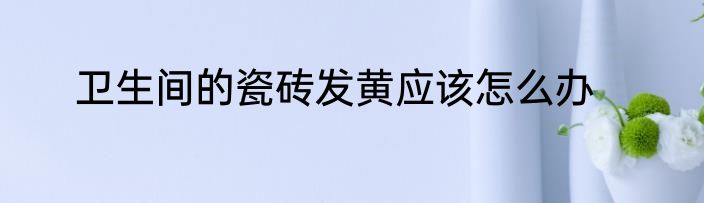 卫生间的瓷砖发黄应该怎么办