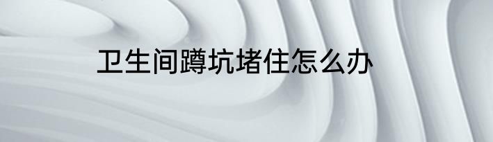 卫生间蹲坑堵住怎么办