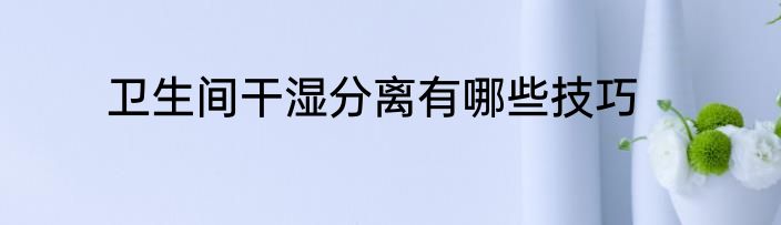卫生间干湿分离有哪些技巧