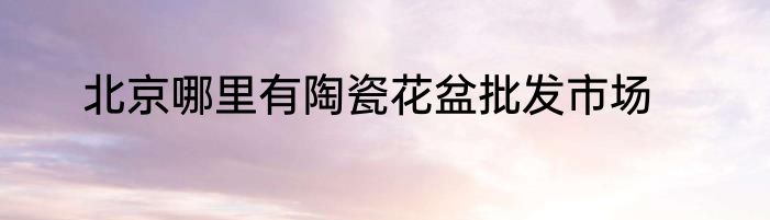 北京哪里有陶瓷花盆批发市场