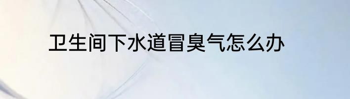卫生间下水道冒臭气怎么办