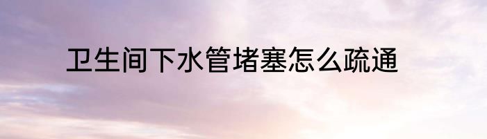 卫生间下水管堵塞怎么疏通