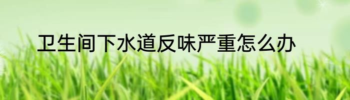 卫生间下水道反味严重怎么办