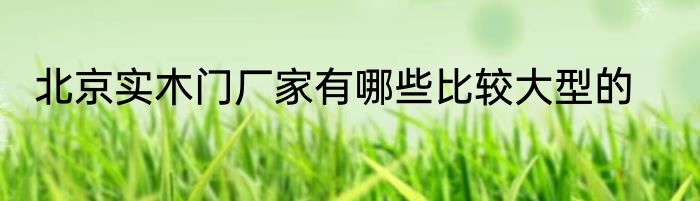 北京实木门厂家有哪些比较大型的