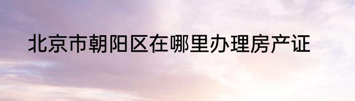 北京市朝阳区在哪里办理房产证