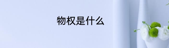 物权是什么