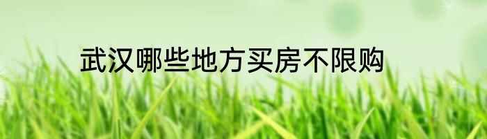 武汉哪些地方买房不限购