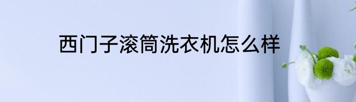 西门子滚筒洗衣机怎么样