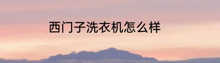 西门子洗衣机怎么样