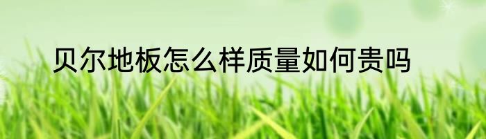 贝尔地板怎么样质量如何贵吗