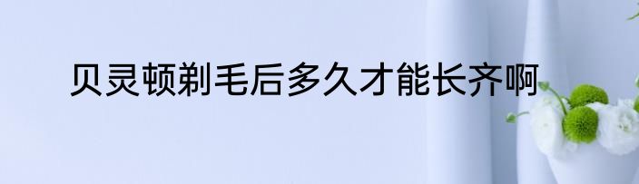 贝灵顿剃毛后多久才能长齐啊