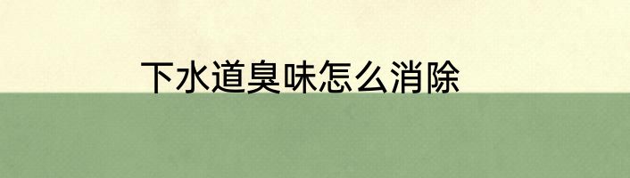 下水道臭味怎么消除