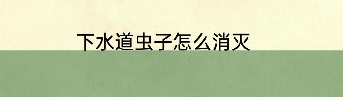 下水道虫子怎么消灭