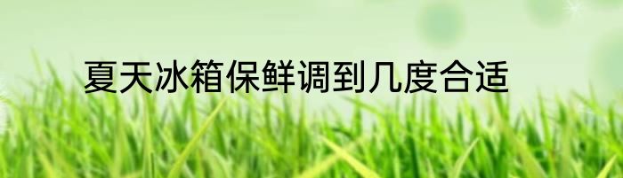 夏天冰箱保鲜调到几度合适