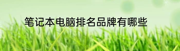 笔记本电脑排名品牌有哪些