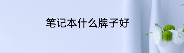 笔记本什么牌子好
