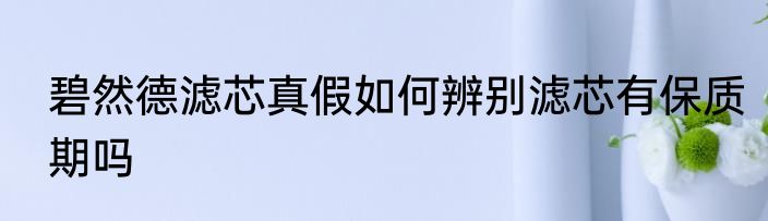 碧然德滤芯真假如何辨别滤芯有保质期吗