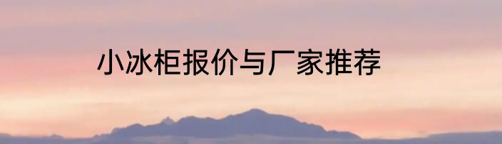 小冰柜报价与厂家推荐