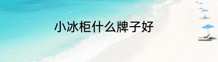 小冰柜什么牌子好