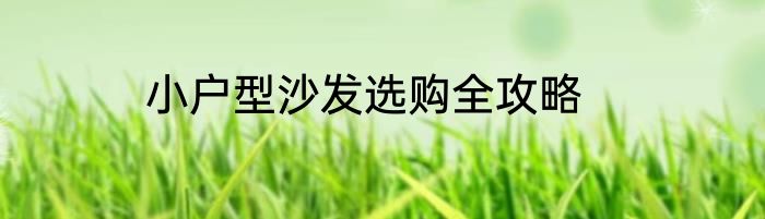 小户型沙发选购全攻略