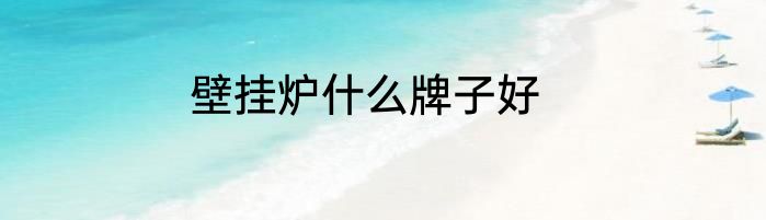 壁挂炉什么牌子好