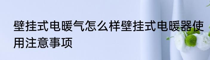 壁挂式电暖气怎么样壁挂式电暖器使用注意事项