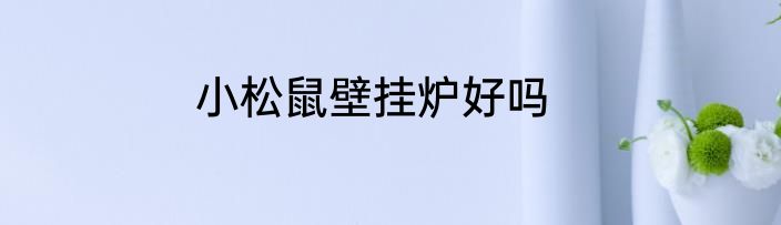 小松鼠壁挂炉好吗