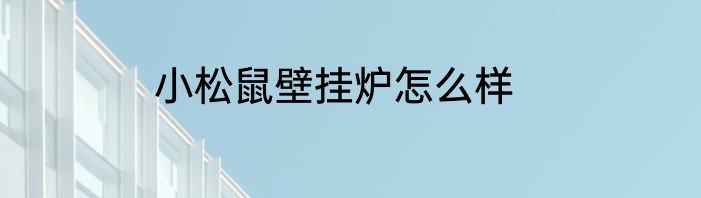 小松鼠壁挂炉怎么样