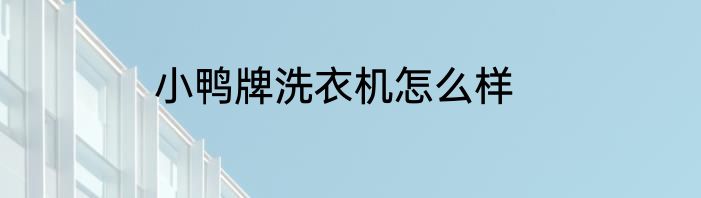 小鸭牌洗衣机怎么样