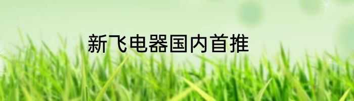 新飞电器国内首推