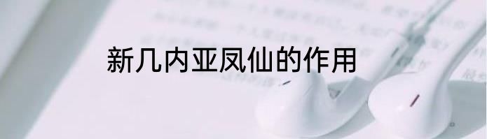 新几内亚凤仙的作用