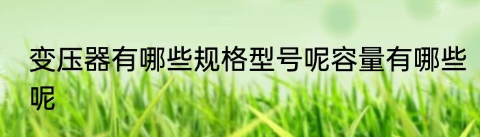 变压器有哪些规格型号呢容量有哪些呢