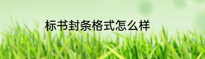 标书封条格式怎么样