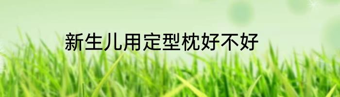 新生儿用定型枕好不好