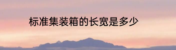 标准集装箱的长宽是多少