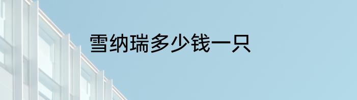 雪纳瑞多少钱一只
